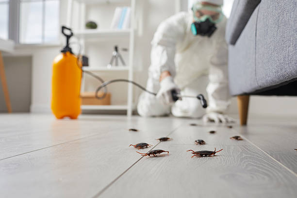 Commercial Kitchen Cockroach Control in Highspire